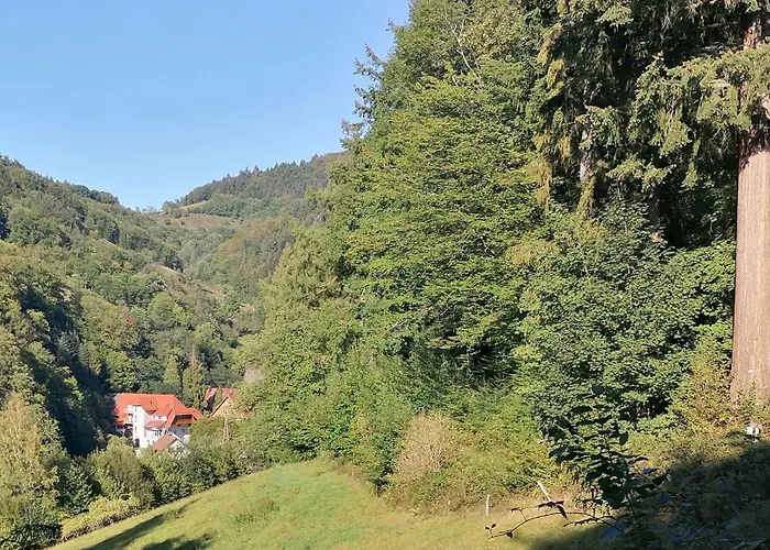 Huberhof Pfaffenbach * غينغنباخ