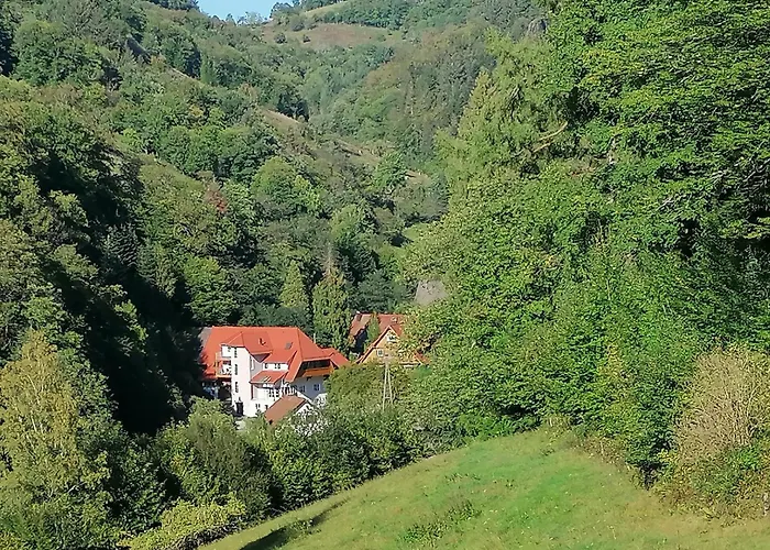 Huberhof Pfaffenbach غينغنباخ